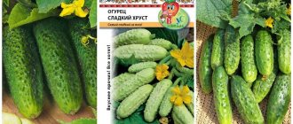 огурцы Русский Огород