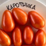 Помидоры Каротинка