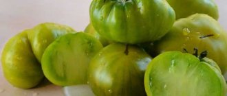 'Сорт с экзотическим вкусом и удивительным внешним видом - томат "Ирландский ликер": выращиваем и удивляем соседей' width="800