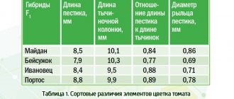 Сортовые различия элементов цветка томата