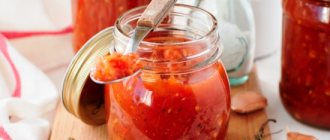 Соус из помидоров и яблок – пикантная приправа для рыбных и мясных блюд. Как приготовить соус из помидоров и яблок со специями