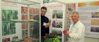 выставка компании Агросемтомс